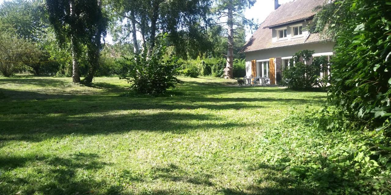 Villa - Coulommiers - Parcs Des Felins - Provins Beautheil-Saints Exterior foto
