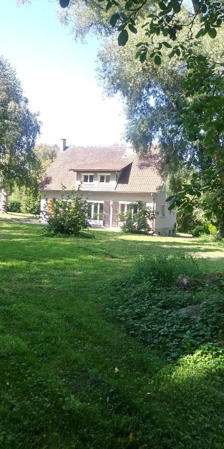 Villa - Coulommiers - Parcs Des Felins - Provins Beautheil-Saints Exterior foto