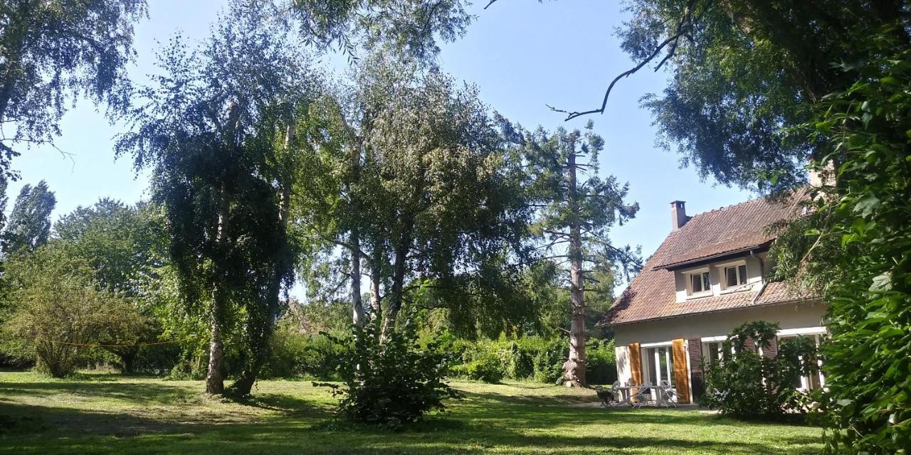 Villa - Coulommiers - Parcs Des Felins - Provins Beautheil-Saints Exterior foto