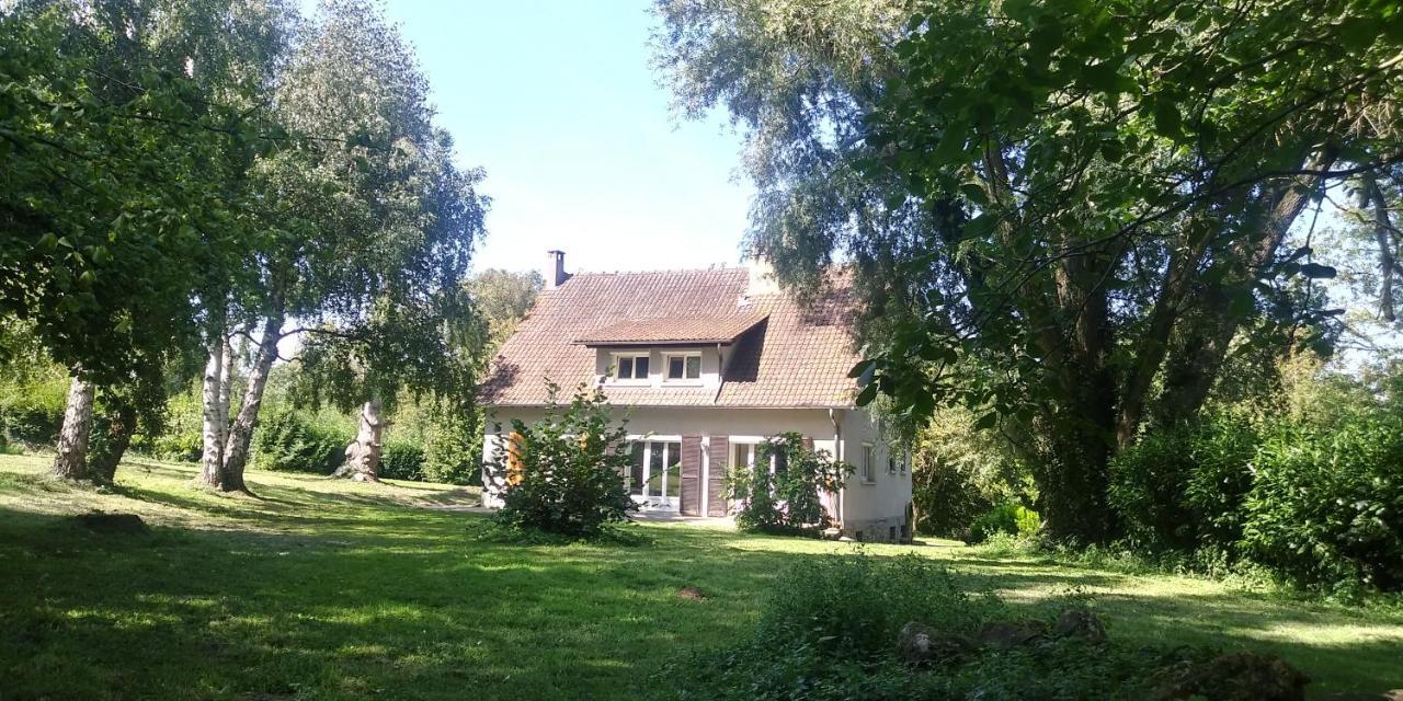 Villa - Coulommiers - Parcs Des Felins - Provins Beautheil-Saints Exterior foto